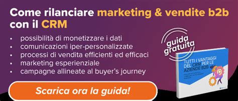 Guida Completa Alla Gestione Del Cliente E Al Crm Ldp Consulting