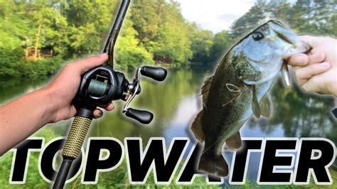 Topwater Fishing For Early Morning Bass Pond Fishing Youtube