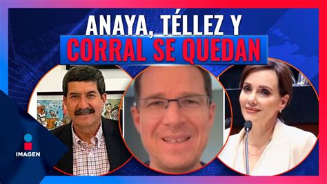 El Tepjf Confirma Las Senadur As De Ricardo Anaya Lilly T Llez Y