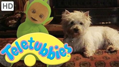 Teletubbies Dirty Dog