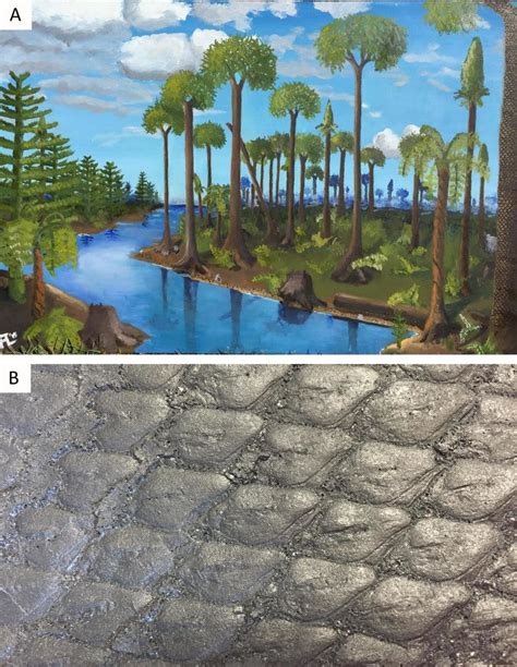 A Artist S Reconstruction Of A Carboniferous Era Forest And Some