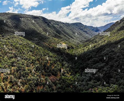 Aerial View Of The Landscape Of The Sierra Madre Occidental In La Mesa