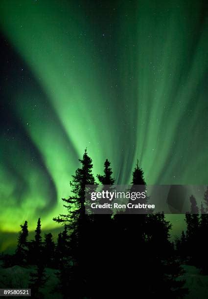 Aurora Borealis Fairbanks Photos and Premium High Res Pictures - Getty ...