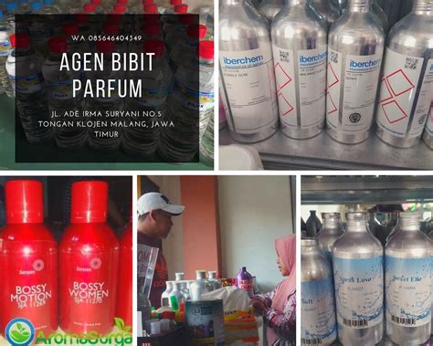 Wa 0822 3691 0007 Agen Bibit Parfum Natuna Wa 0822 3691 00 Flickr