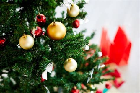 Por qué el 8 de diciembre se arma el árbol de Navidad Agencia News