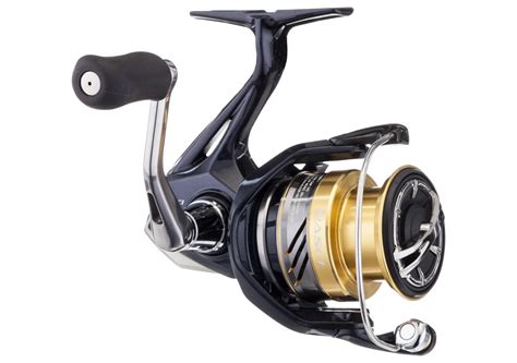 Shimano Nasci Review: Best $100 Saltwater Spinning Reel | Outdoor Life