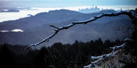 Snow Day On Mount Tamalpais Golden Gate National Parks Conservancy