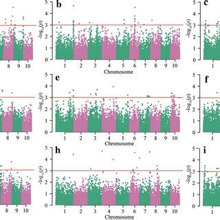 Manhattan Plots Resulting From ED ERN And KNR In Two Environments And