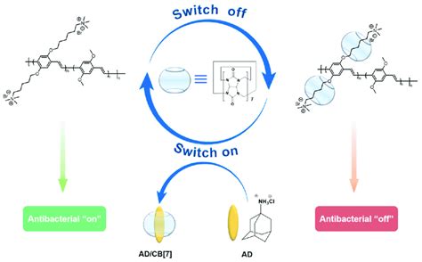 The supramolecular assembly process and the disassembly process of ...