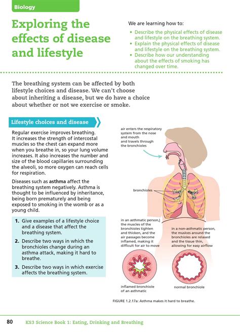 How Does Lifestyle Affect Respiratory Function 2022 QAQooking Wiki