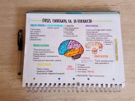 Psicología 🧠 Medical School Inspiration Medical Student Study