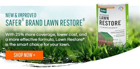 How to Kill Grubs in Your Lawn