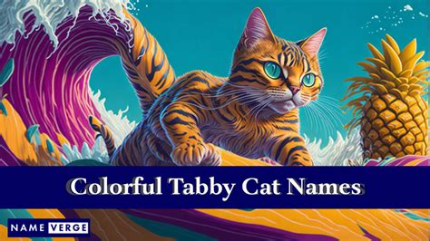 Tabby Cat Names: 365+ Sweet Names For Your Patterned Cat