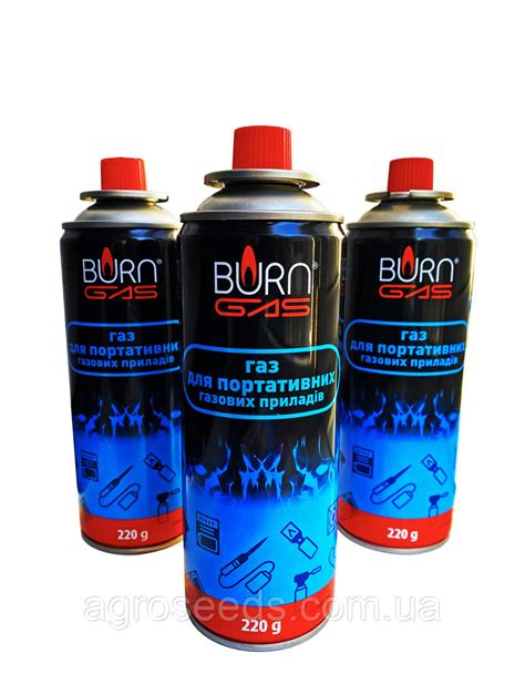 Газовый баллон Burn Gaz 220 Gr. для портативных газовых горелок, цена ...