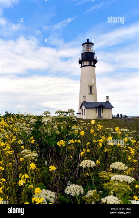 Yaquina Head Light, Lighthouse in Newport, Oregon Stock Photo - Alamy