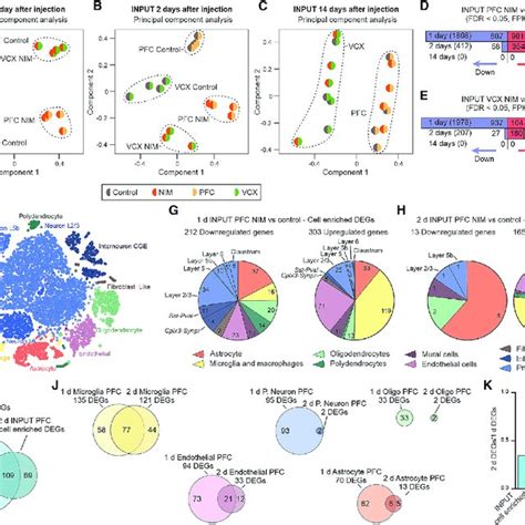 Assessment Of PFC Cell Specific Responses During Neuroinflammation From