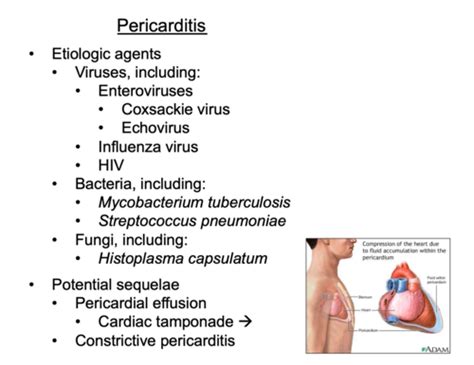 Infective Endocarditis Flashcards Quizlet