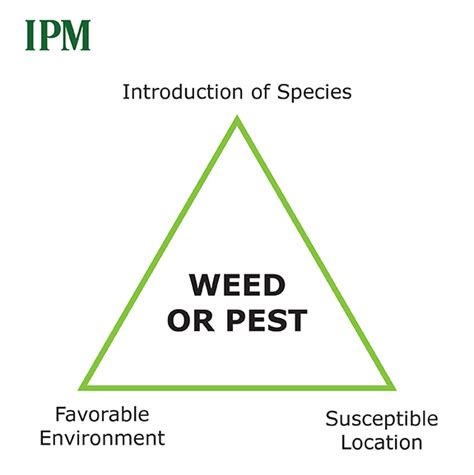 IPM Info Graphics Integrated Pest Management Wyoming