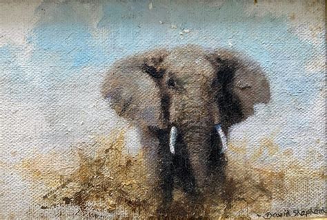 Small Elephant David Shepherd Wildlife Foundation