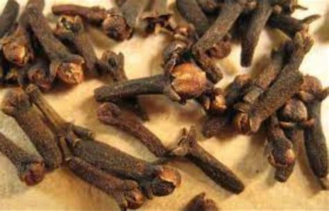 Madagascar Clove Brown Natural Whole Dry Cloves Spice Packaging Size