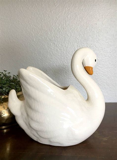 Pin On Elegant Swans