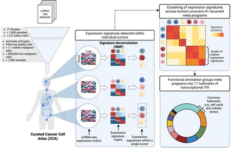 Deciphering The Landscape Of Transcriptional Heterogeneity Across