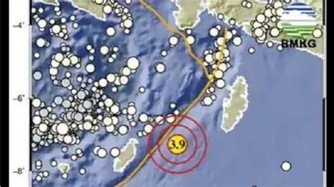 Info Terkini Gempa Bumi BMKG Gempa Magnitudo 3 9 Guncang Maluku