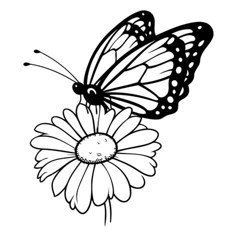 Premium Vector | Butterfly and flower Black and white vector ...