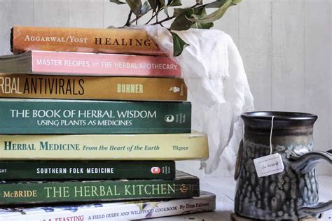 15 Must-Have Herbalism Books for Beginner-Friendly Recipes & Remedies