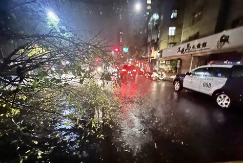 快訊 大雨下整晚北市傳災情 北投、松山路樹倒騎士受傷送醫