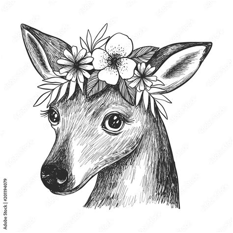 Vector illustration with deer and flowers. Imitation pencil drawing, black and white tattoo ...