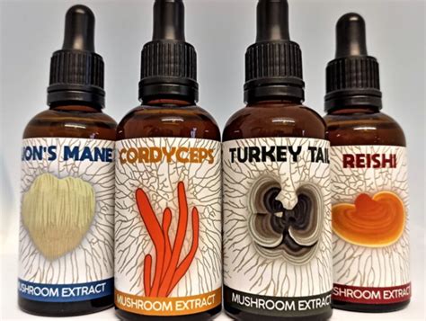 4 Dual Extract Tinctures Isle Of Wight Mushrooms