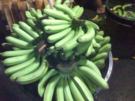 Banana Lakatan,Philippines price supplier - 21food