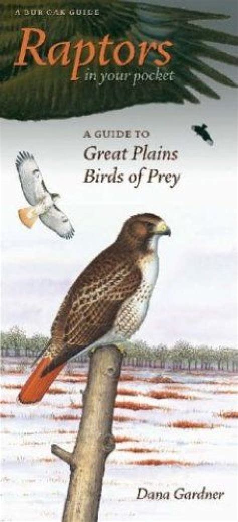 Raptors In Your Pocket A Guide To Great Plains Birds Of Prey Nhbs