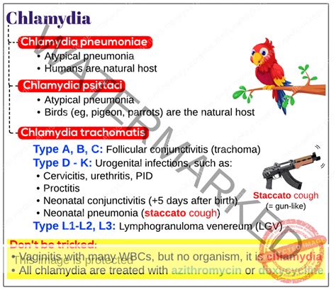 Types Of Chlamydia Medicine Keys For MRCPs