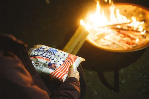 とろとろの焼きマシュマロでキャンプの焚き火時間をもっと楽しもう！ ランドネ