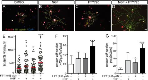 Fty720 Stimulates Drg Neurite Growth A D Adult Mouse Drg Neurons