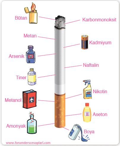 S N F Fen Bilimleri Ders Kitab Sayfa Cevaplar Ata Yay Nc L K