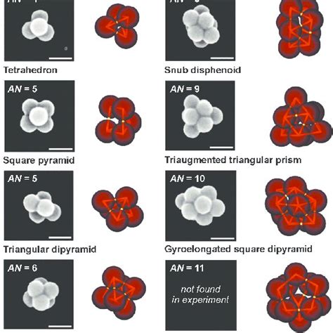 Pdf Assembly Of Nanoparticles Into Colloidal Molecules Toward