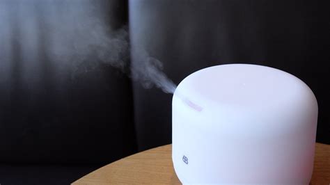 How To Know If You Need A Humidifier Storables