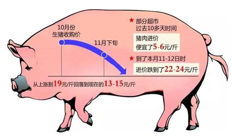 生豬收購價接連回落，豬肉價格連降重回「20時代」 每日頭條