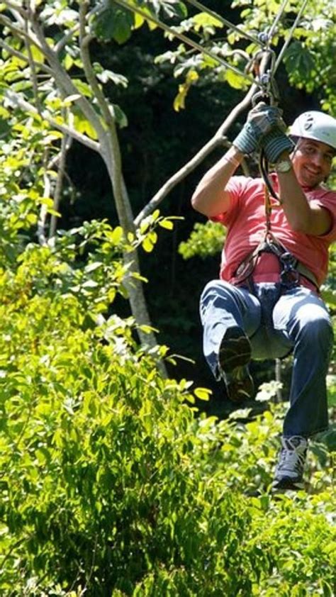 Zip line jungle canopy tour at white river valley ocho rios – Artofit