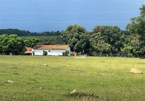 Ch Caras Venda Na Zona Rural Em Presidente Oleg Rio Chaves Na M O