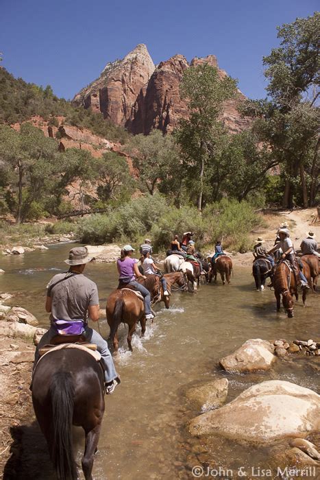 Zion Horseback Riding | Zion Canyon Trail Rides