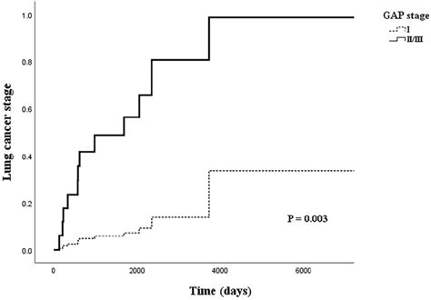 Cox Regression Model Of Lung Cancer Stage By Gap Stage Adjusted For Download Scientific