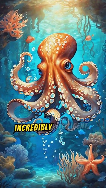 Did You Know The Fascinating Secrets Of Octopuses Amazing Facts