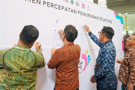 Jawa Barat Kunci Penting Penurunan Stunting Di Indonesia Kolaborasi