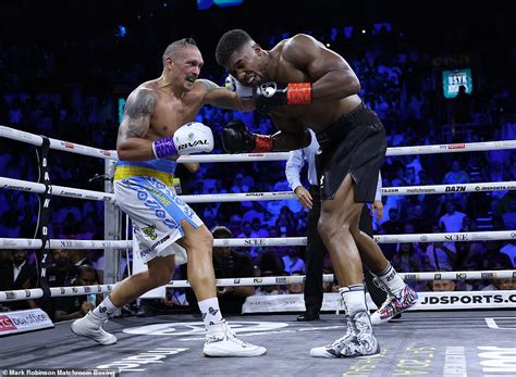 Fury Vs Usyk Past Results Fury Vs Usyk Quora