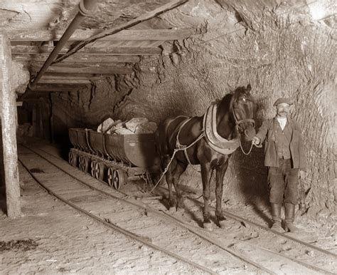 Muzeum Up Krakowskich Wieliczka Kopalnia I Zamek Konie W S U Bie