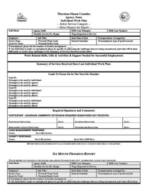 Fillable Online Co Thurston Wa Sample IWP Form For Employment